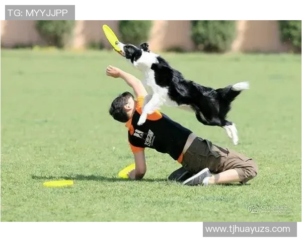 南京飞盘队与北京飞盘队赛后心理素质对比分析与反思 南京飞盘队与北京飞盘队赛后心理素质对比分析与反思