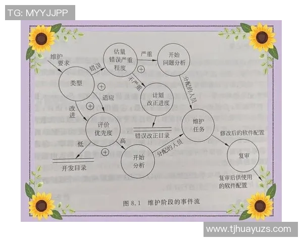 深度分析上海足球队的运营策略与发展模式探讨