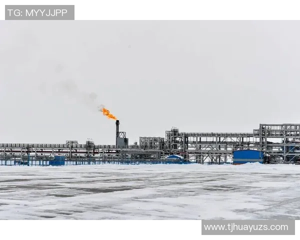 亚马尔地区的能源战略与全球气候变化的应对之道探讨